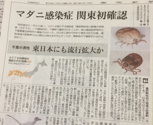 マダニ記事