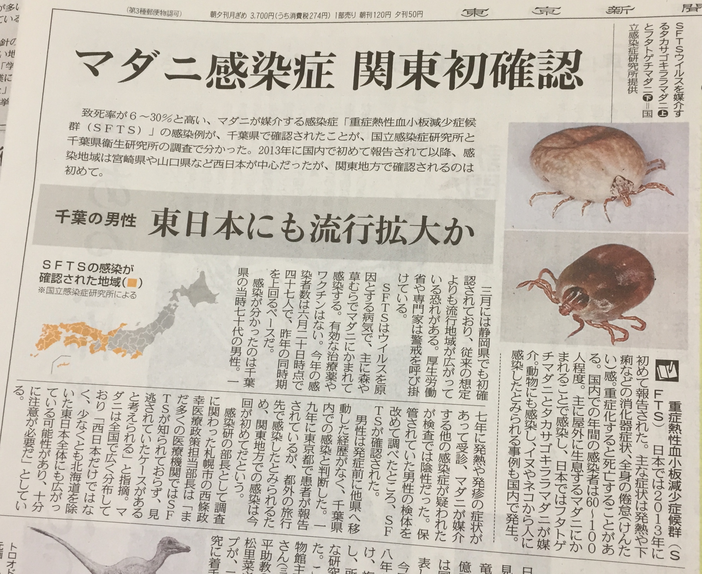 マダニ記事
