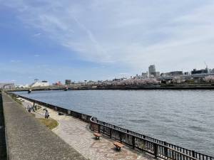 隅田川